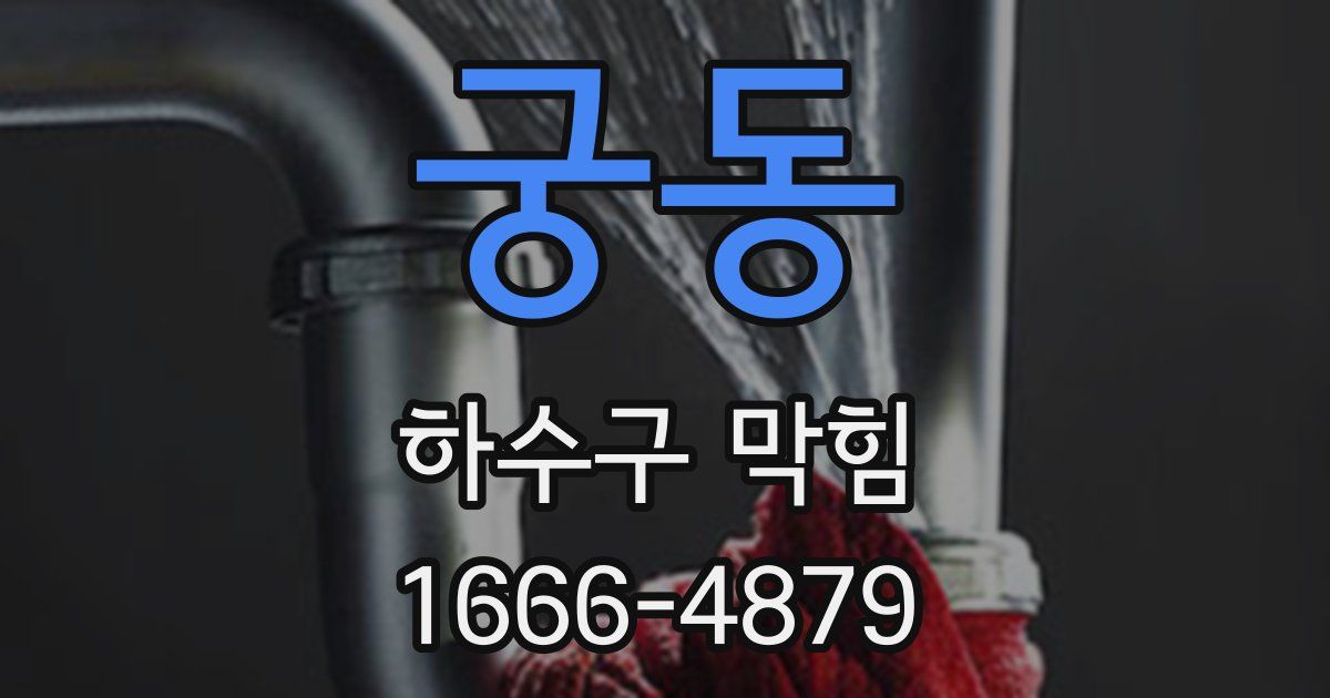 궁동 하수구 막힘