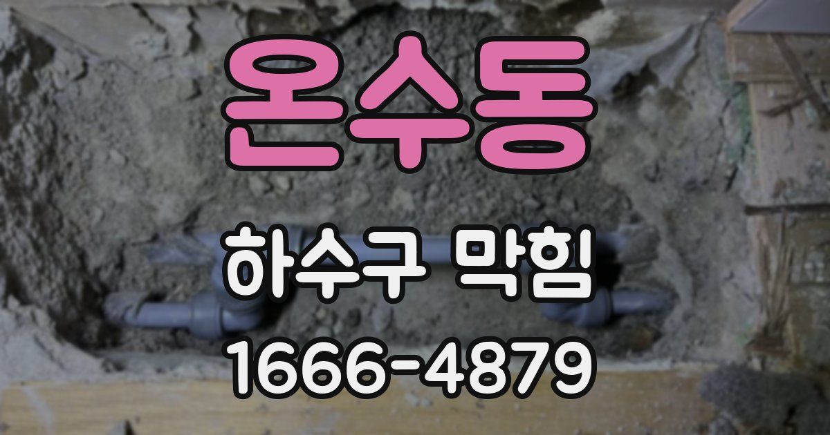 온수동 하수구 막힘
