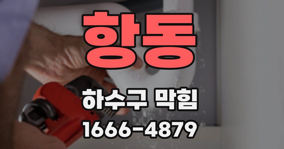 항동 하수구 막힘