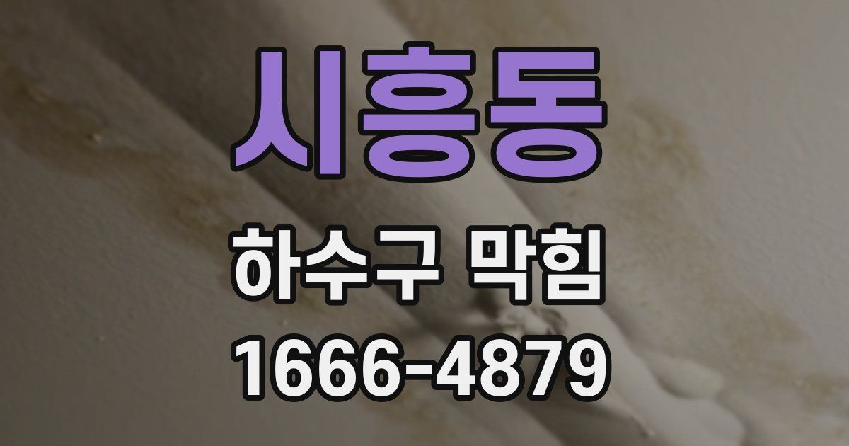 시흥동 하수구 막힘