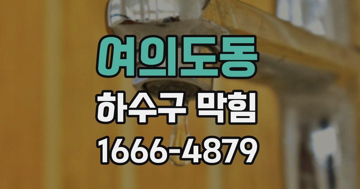 여의도동 하수구 막힘