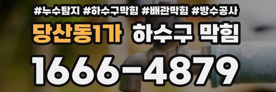 당산동1가 하수구 막힘