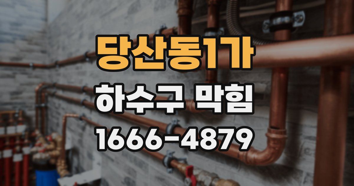 당산동1가 하수구 막힘