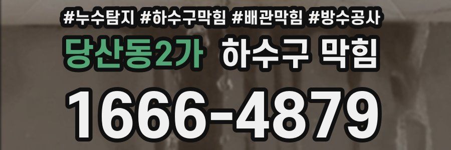 당산동2가 하수구 막힘