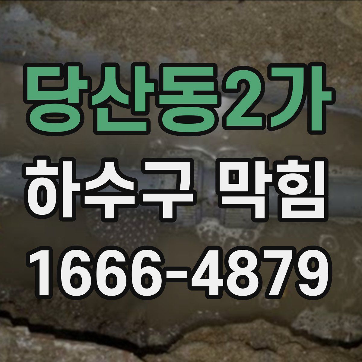 당산동2가 하수구 막힘