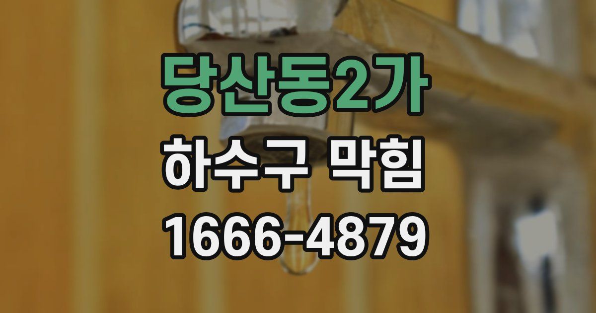 당산동2가 하수구 막힘