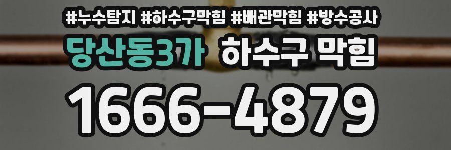 당산동3가 하수구 막힘