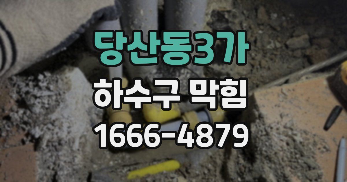 당산동3가 하수구 막힘