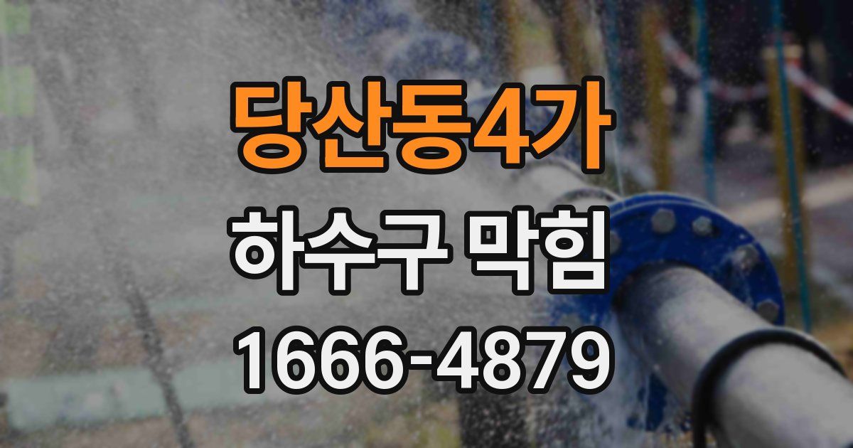 당산동4가 하수구 막힘