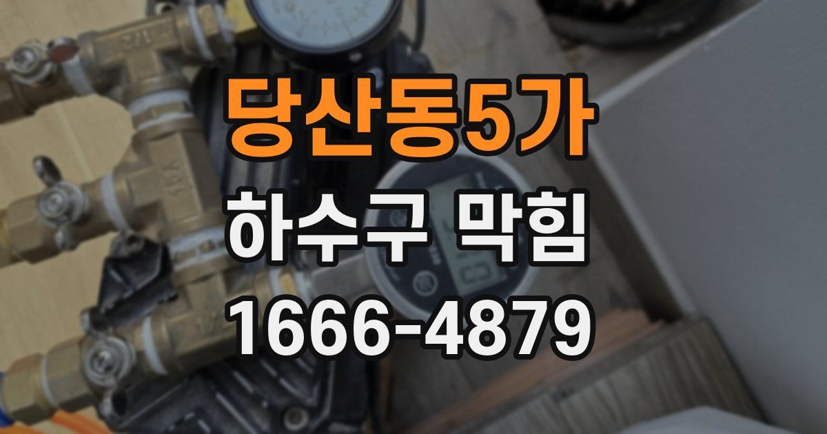 당산동5가 하수구 막힘