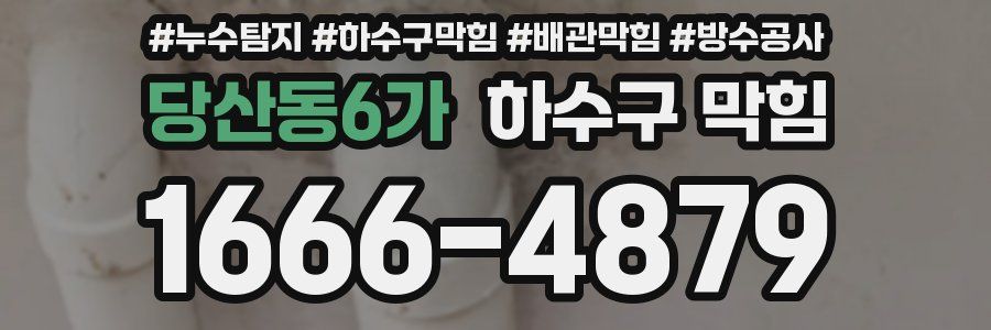 당산동6가 하수구 막힘