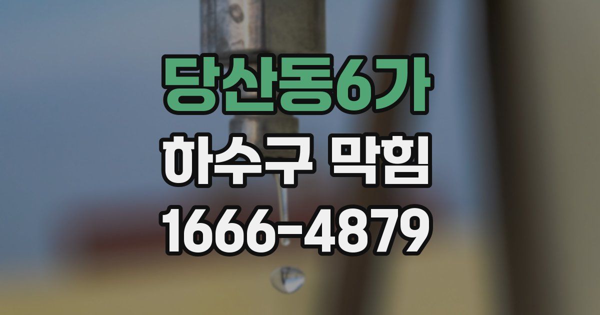 당산동6가 하수구 막힘