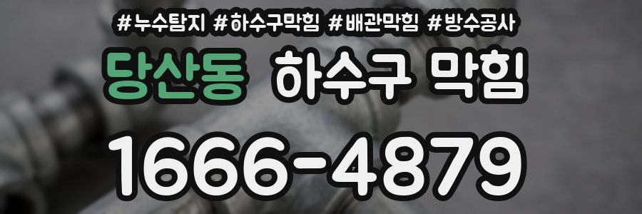 당산동 하수구 막힘