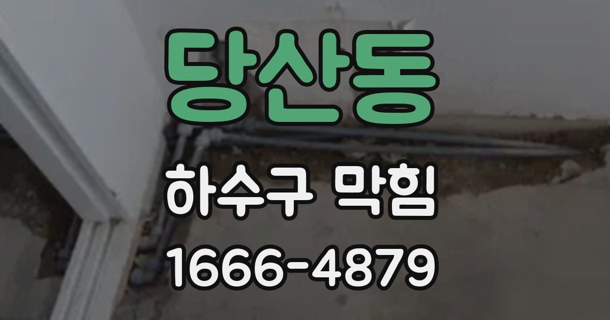 당산동 하수구 막힘