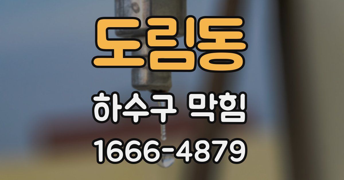 도림동 하수구 막힘