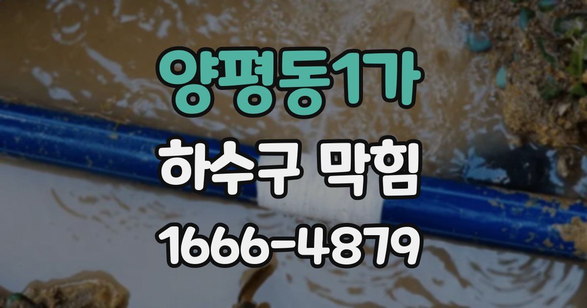 양평동1가 하수구 막힘