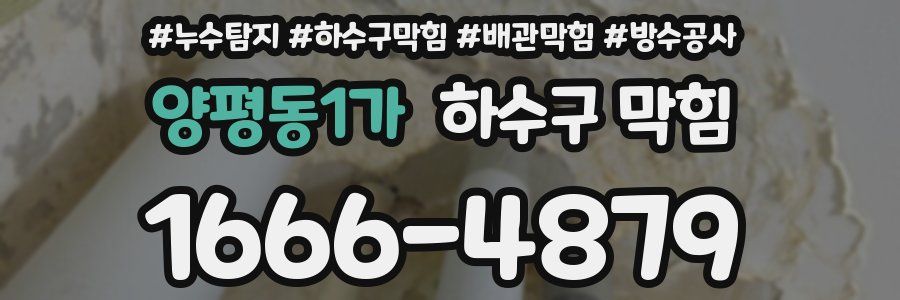 양평동1가 하수구 막힘