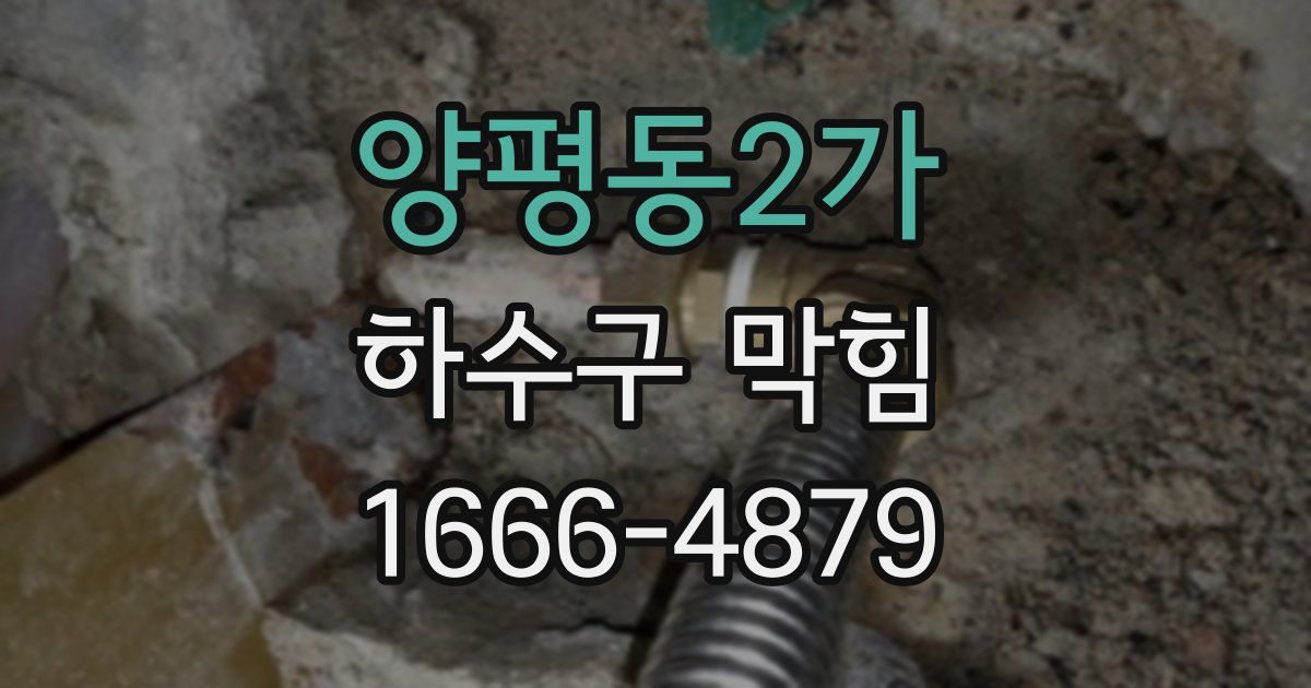 양평동2가 하수구 막힘