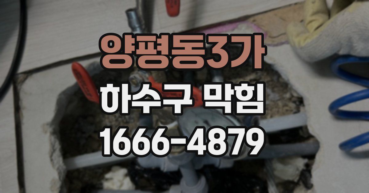 양평동3가 하수구 막힘