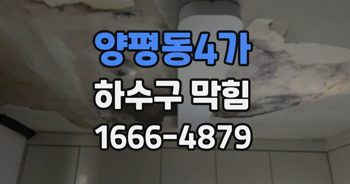 양평동4가 하수구 막힘