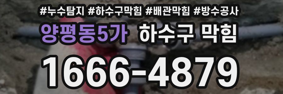 양평동5가 하수구 막힘