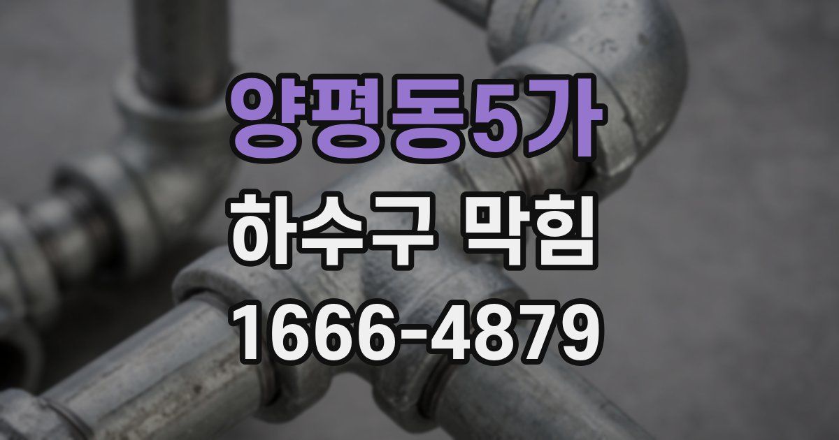 양평동5가 하수구 막힘