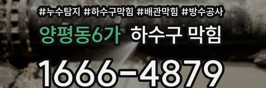 양평동6가 하수구 막힘