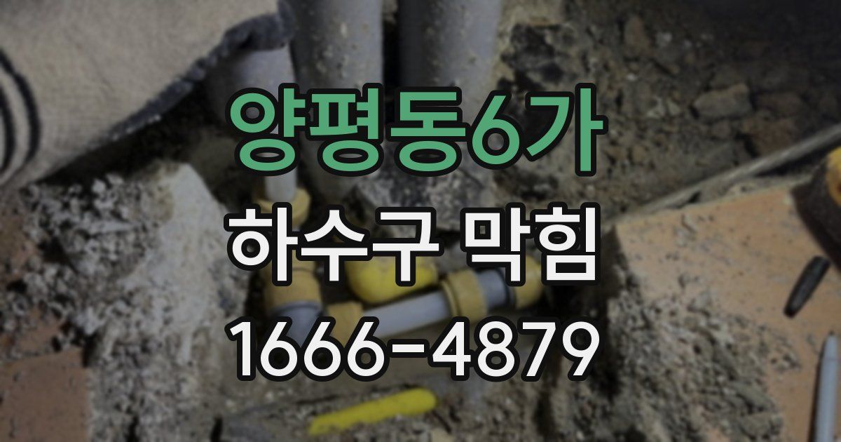 양평동6가 하수구 막힘