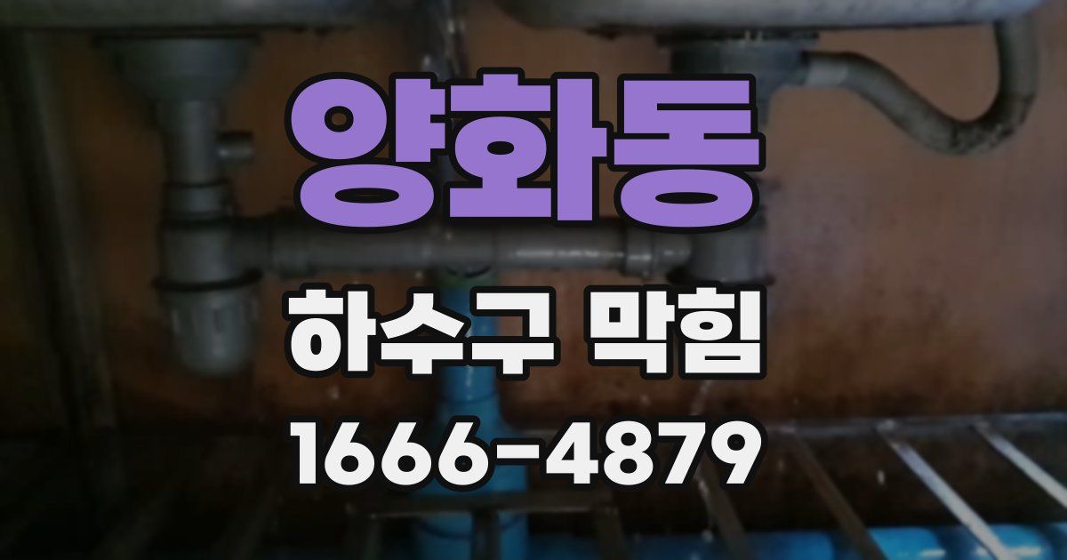 양화동 하수구 막힘