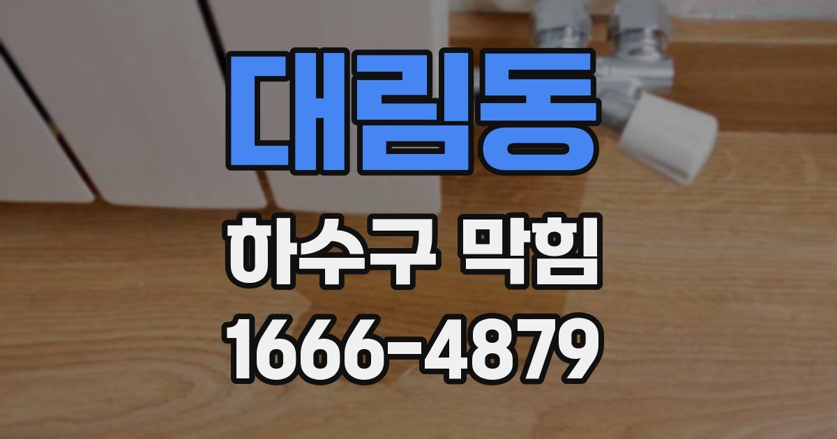 대림동 하수구 막힘