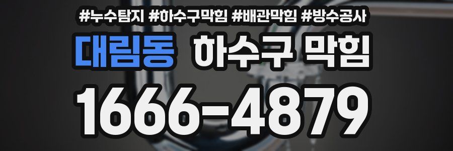 대림동 하수구 막힘