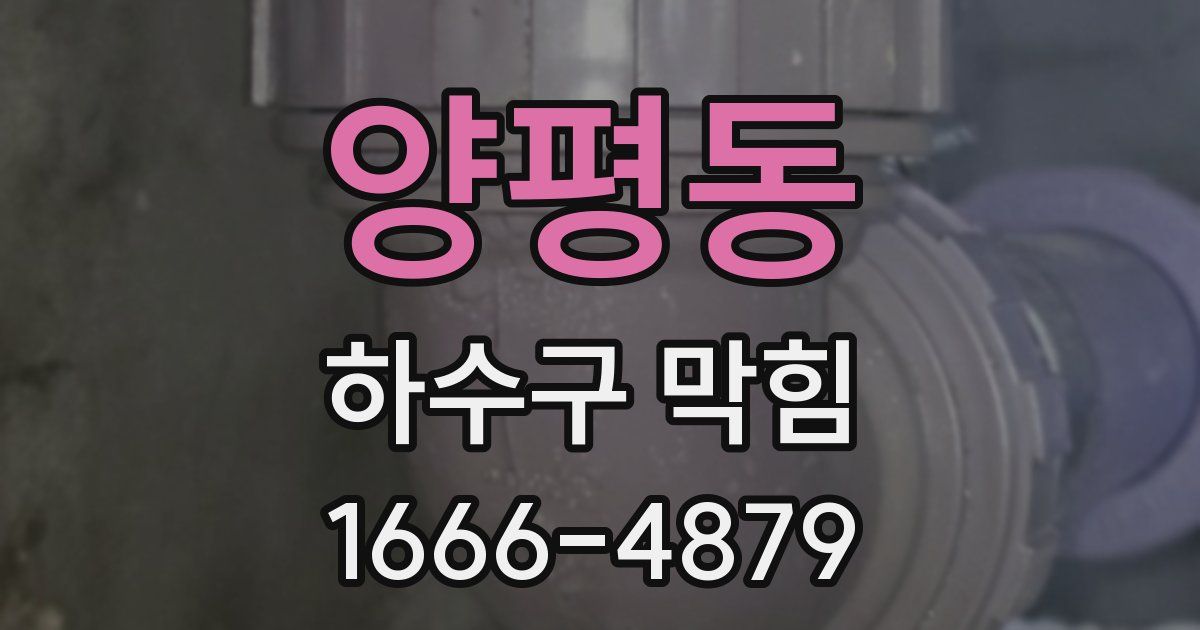 양평동 하수구 막힘