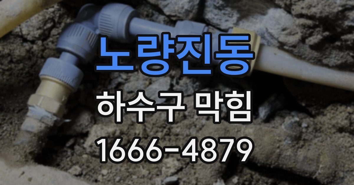 노량진동 하수구 막힘