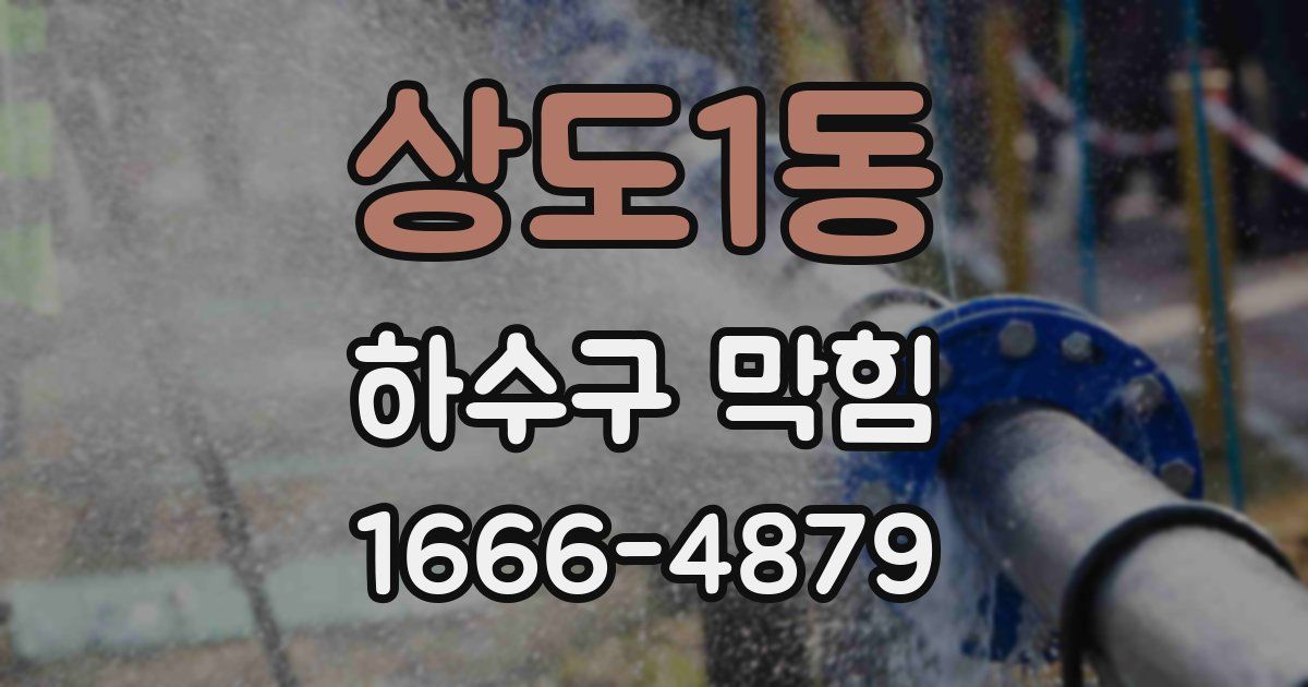 상도1동 하수구 막힘