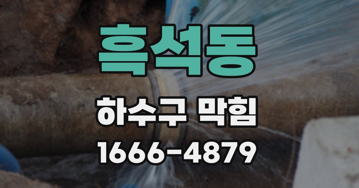 흑석동 하수구 막힘