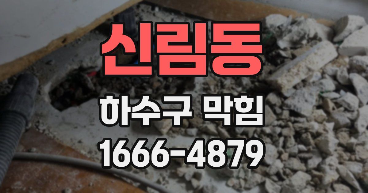 신림동 하수구 막힘