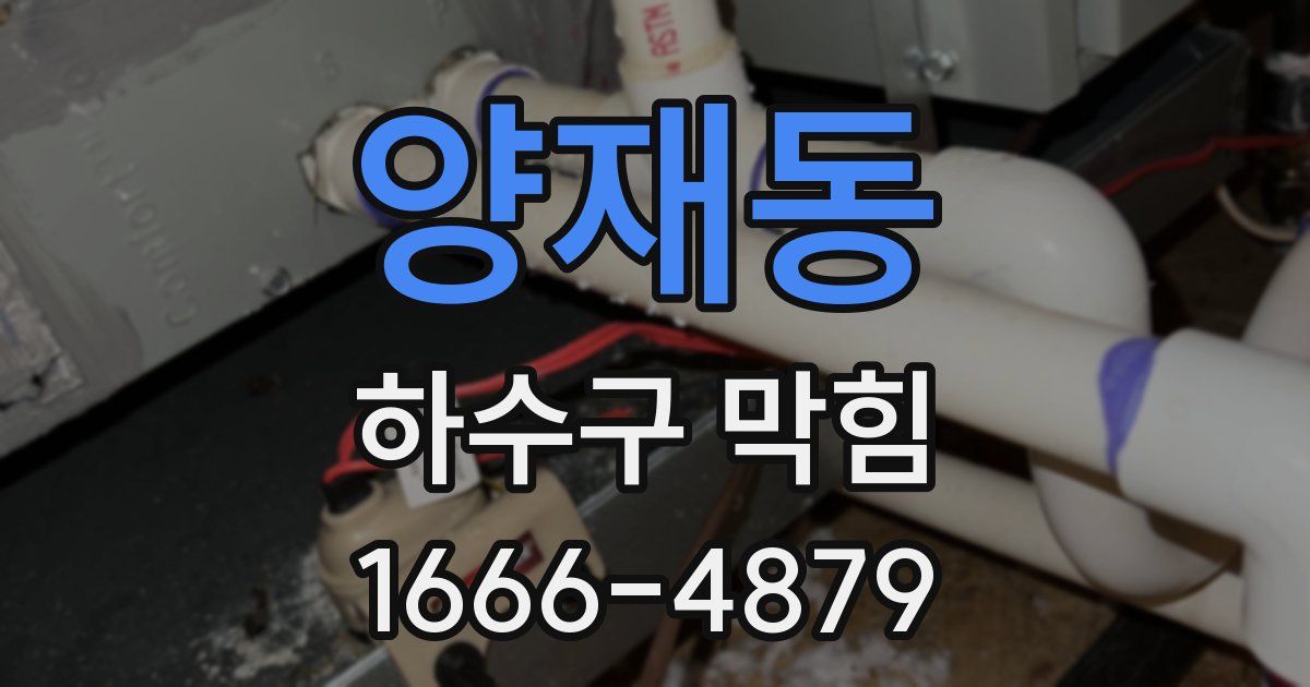 양재동 하수구 막힘