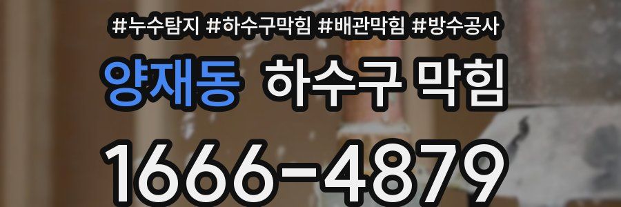양재동 하수구 막힘