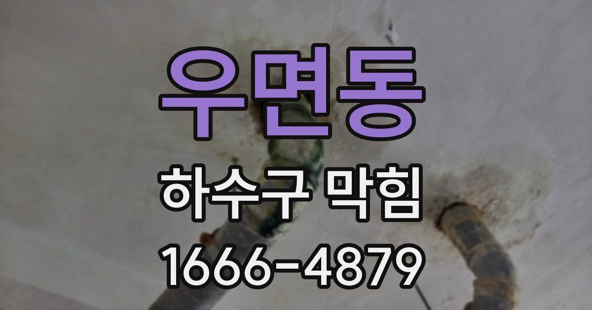 우면동 하수구 막힘
