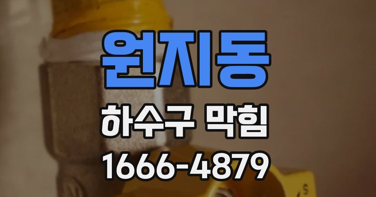 원지동 하수구 막힘