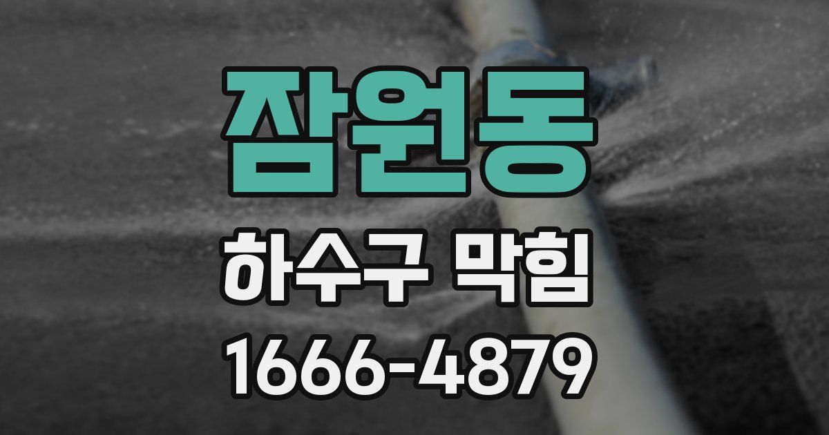 잠원동 하수구 막힘