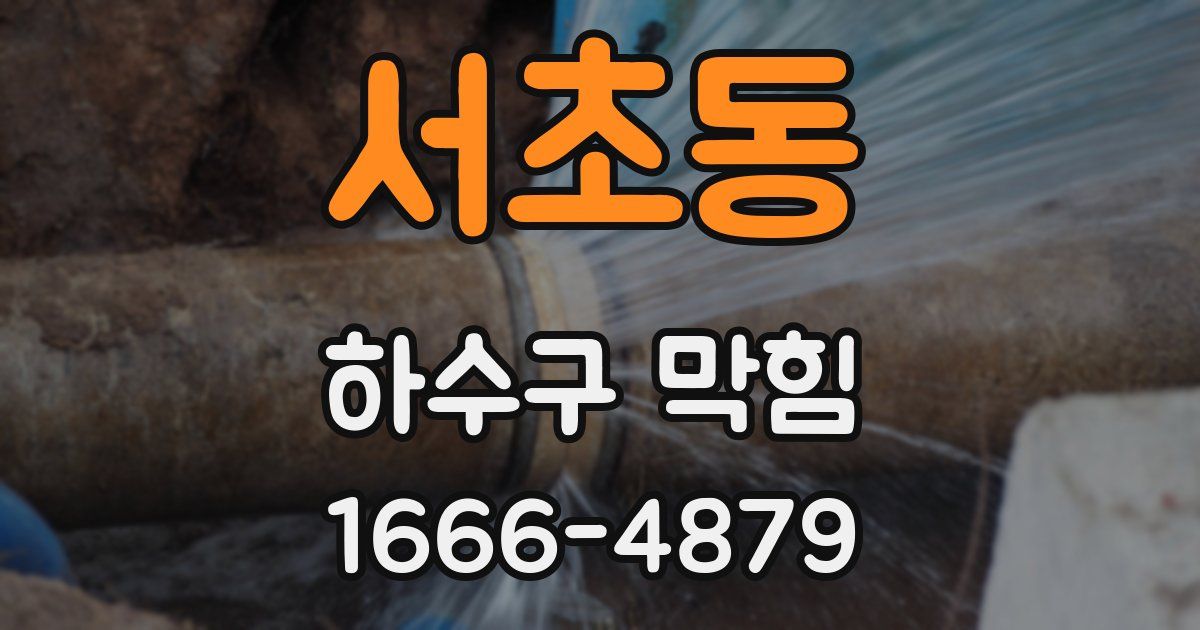 서초동 하수구 막힘