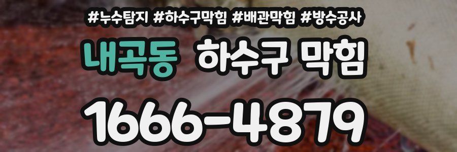 내곡동 하수구 막힘