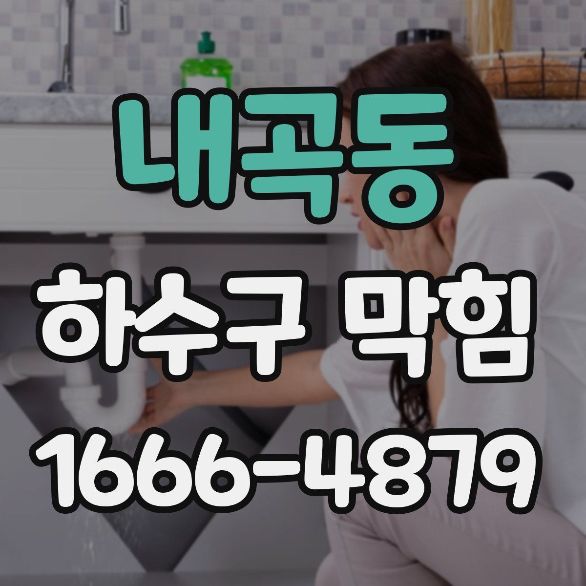 내곡동 하수구 막힘