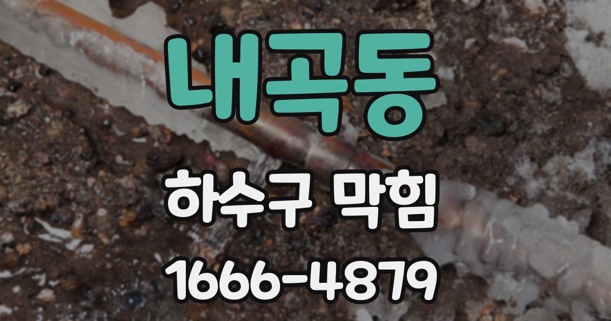 내곡동 하수구 막힘