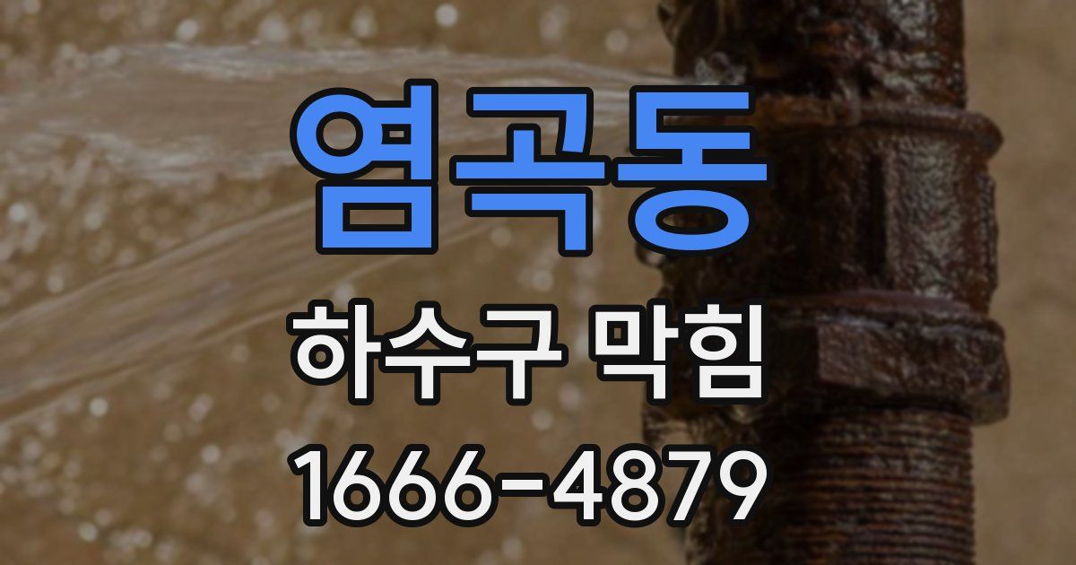 염곡동 하수구 막힘