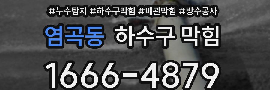 염곡동 하수구 막힘