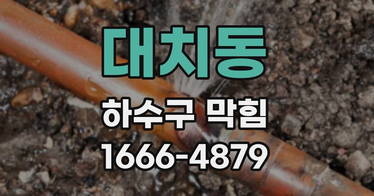 대치동 하수구 막힘