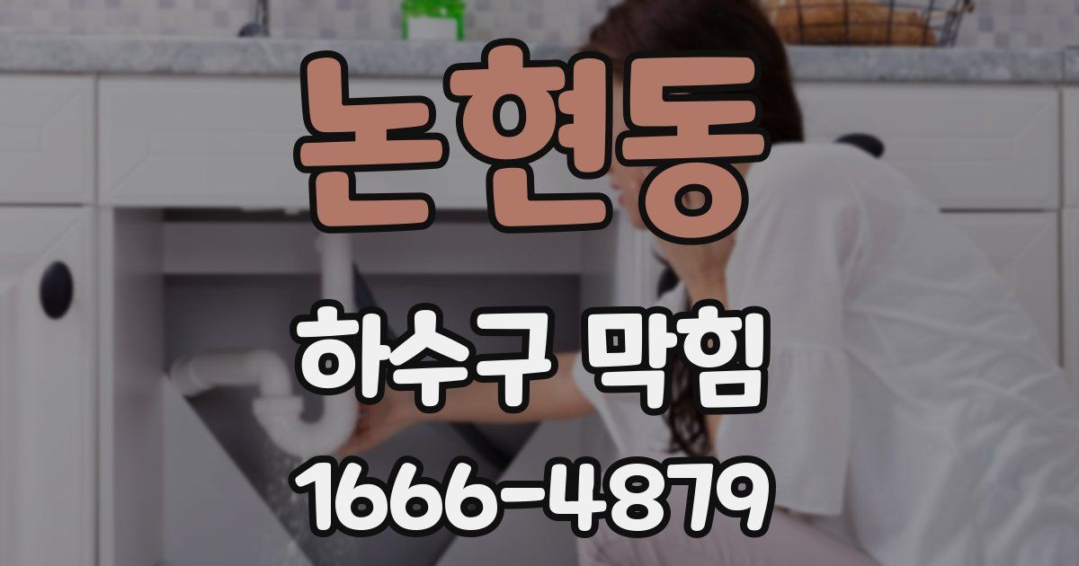 논현동 하수구 막힘