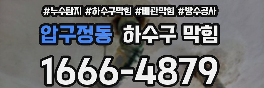 압구정동 하수구 막힘